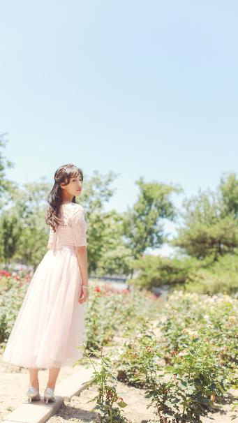 日韩在线观看免费全集电视剧网站